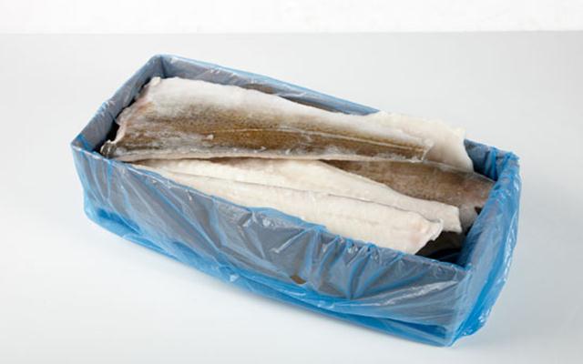 FTE. BACALAO ICELANDIC +1000  11KG
