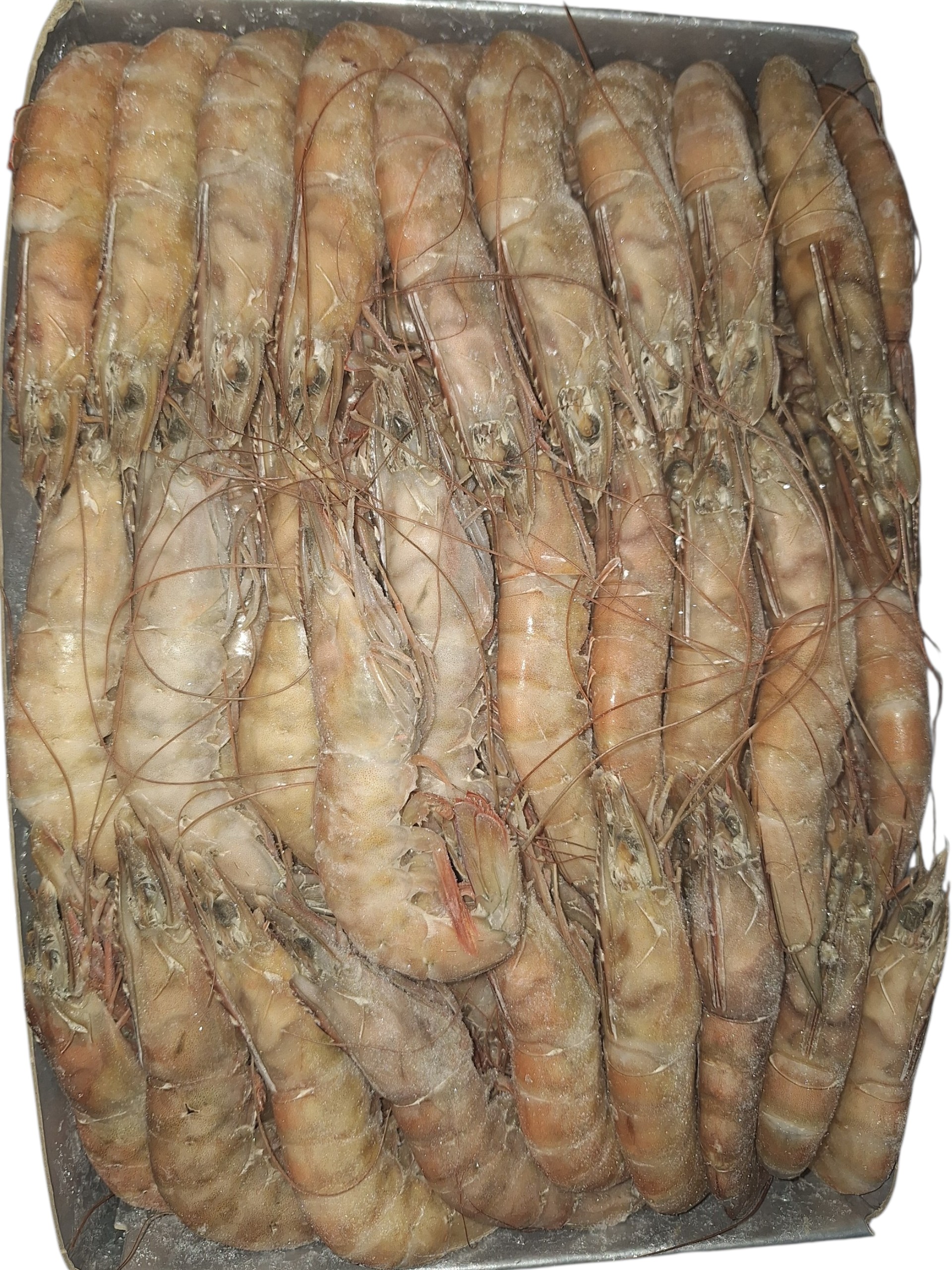 LANGOSTINO W 30/34 PEIX MAR 26 4P 6X2KG APRX