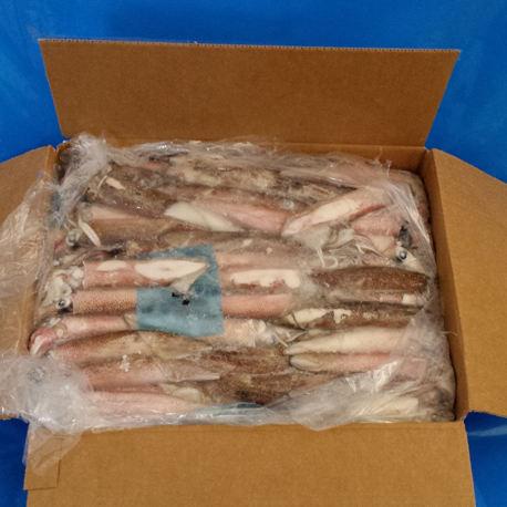 CHIPIRON Nº4C 11/13 PESCAPUERTA 5KG APRX