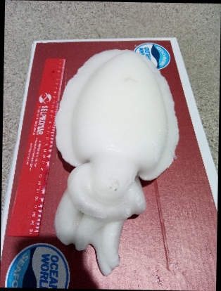 CHOCO LIMPIO "OCEAN WORD" +1000 6KG