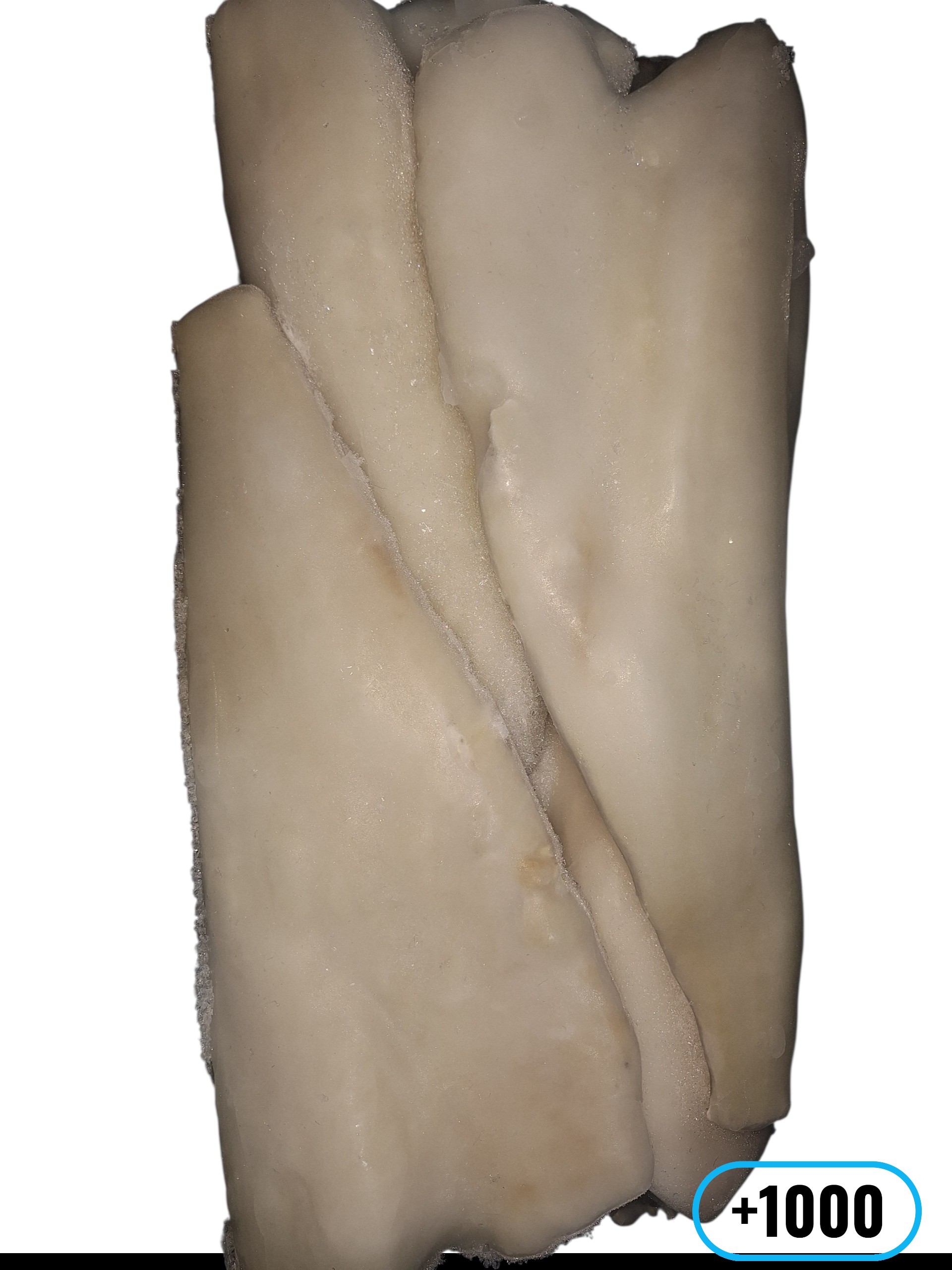 FTE BACALAO +1000 AYR 11KG