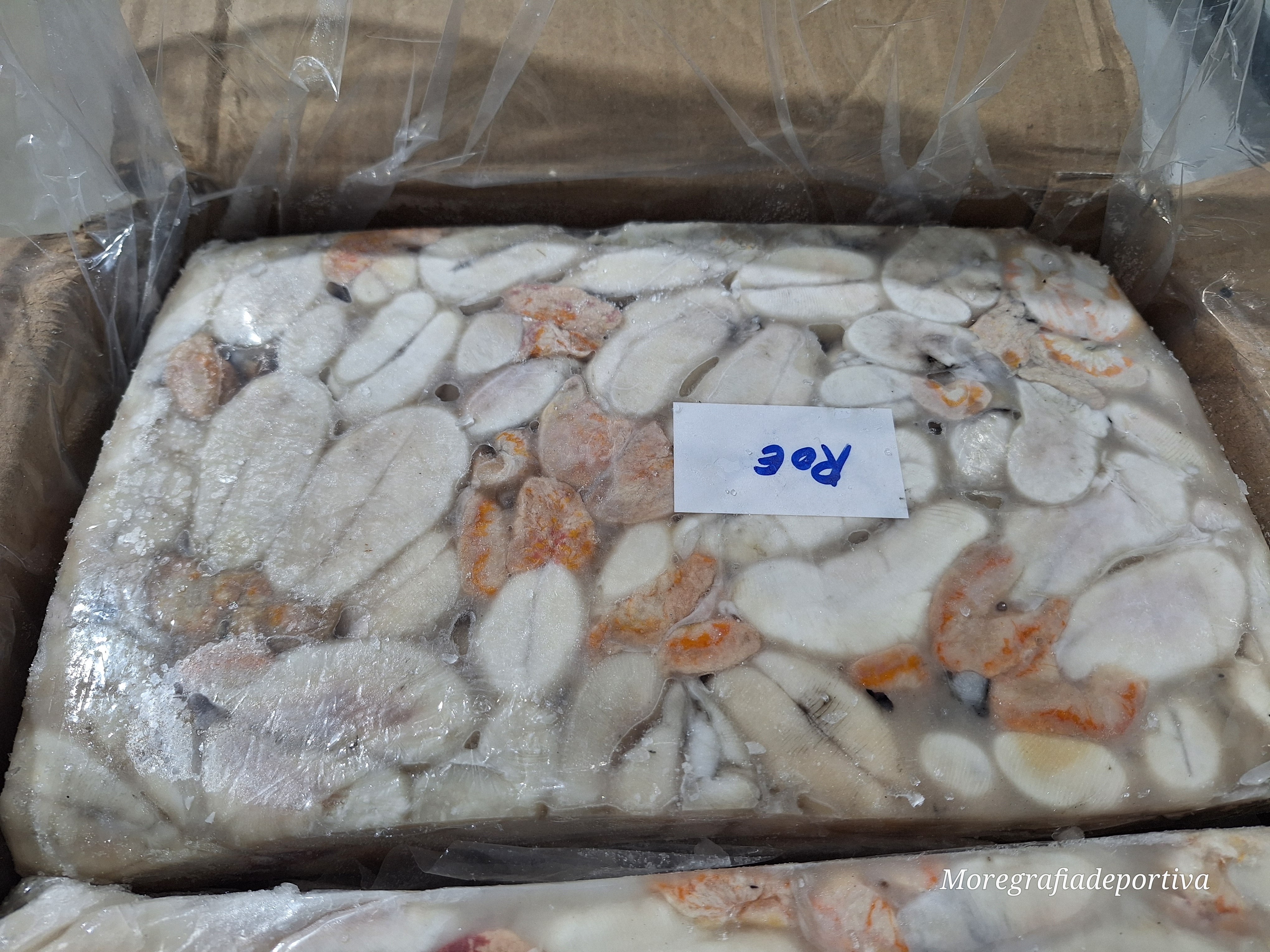 HUEVA CHOCO INDIO 10X2KG