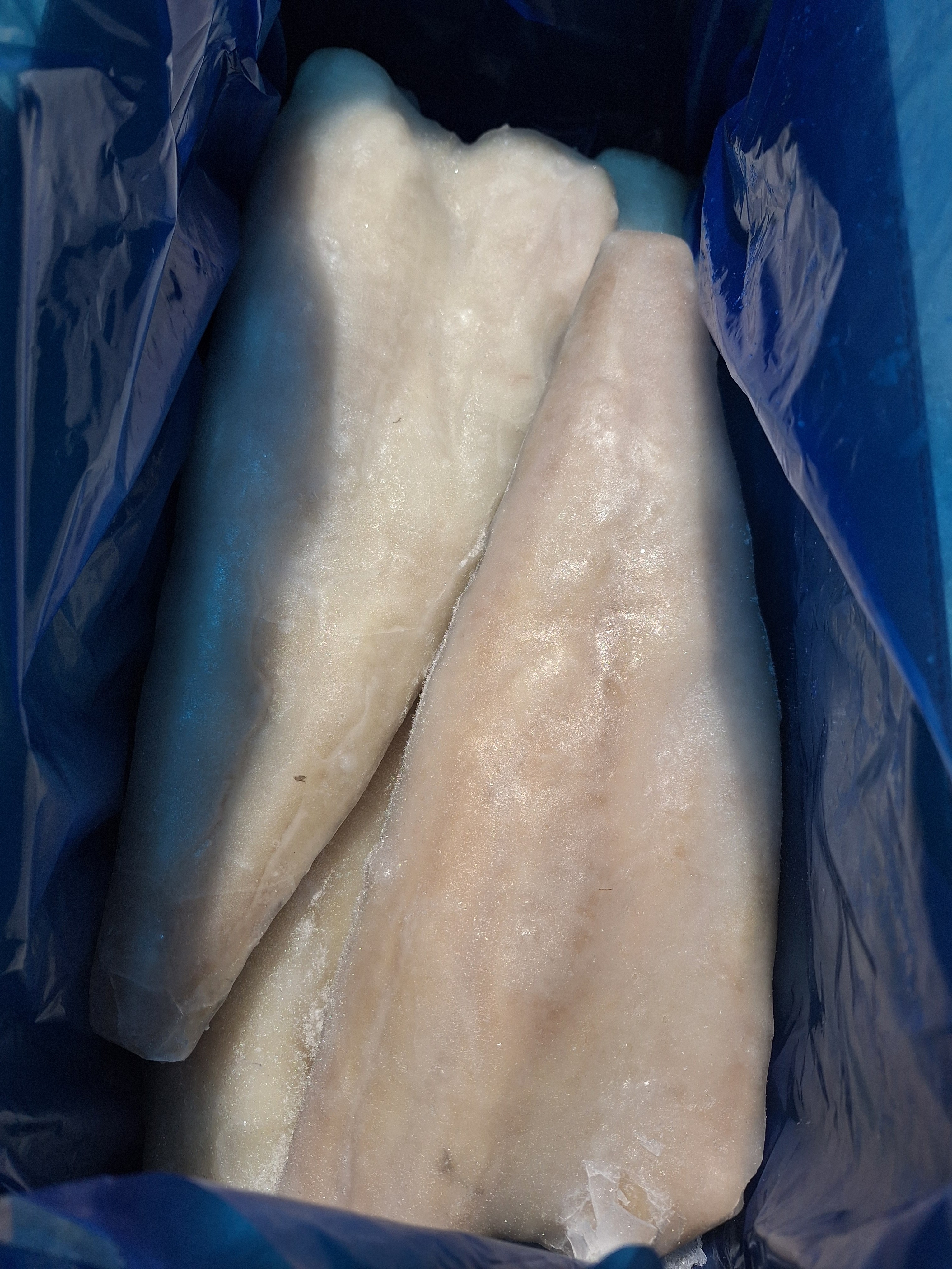 FTE. FOGONERO 500/1000 "MARBAMAR" 7KG