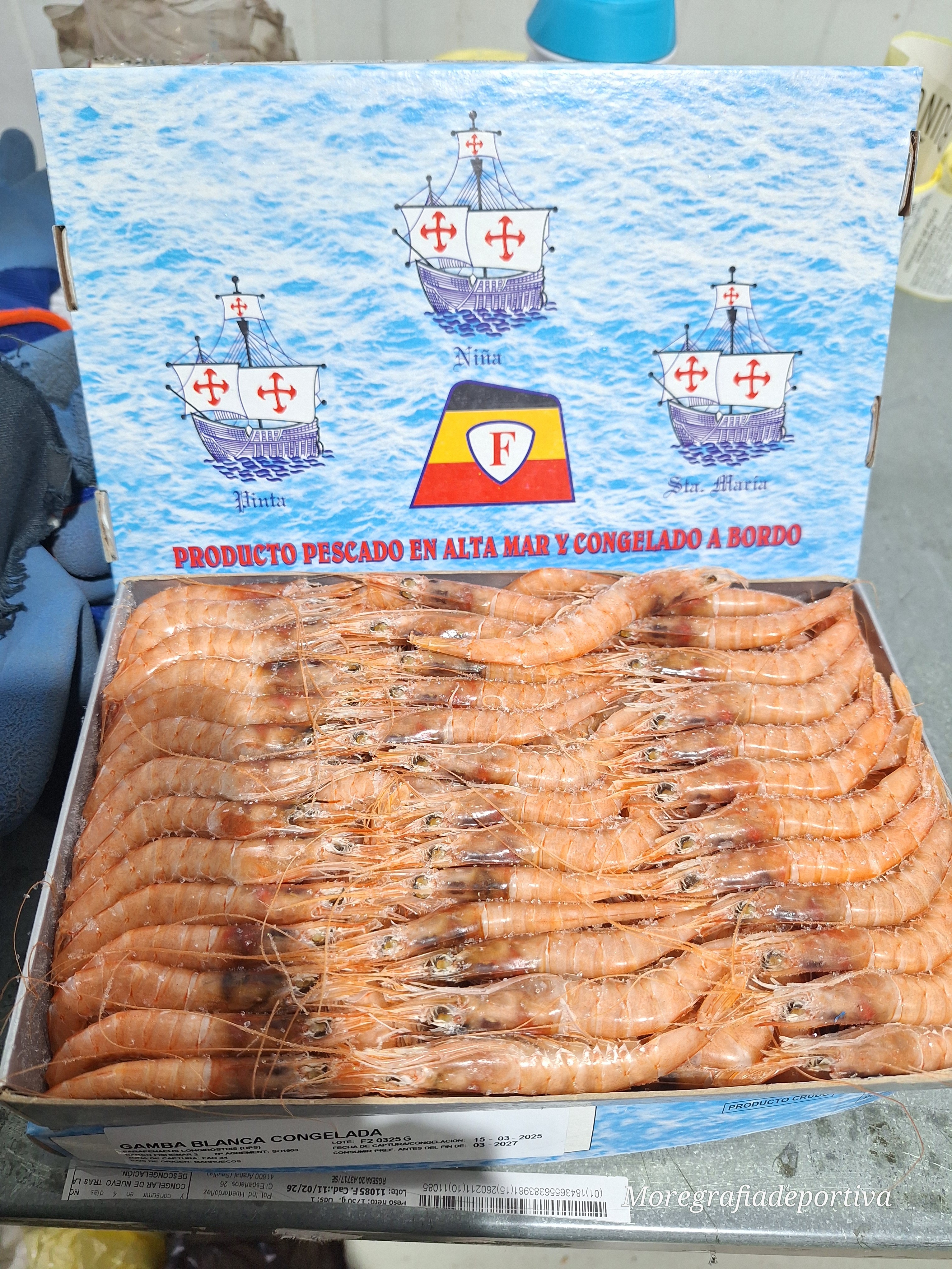 GAMBA BL FISHEMAR 182-186 12X1KG APROX