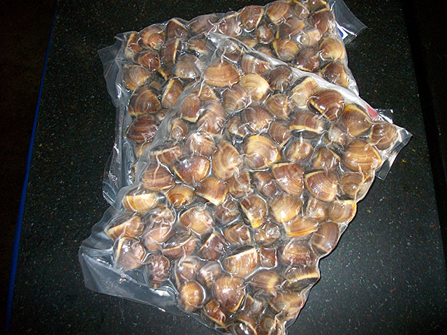 ALMEJA MARRON 60/80 EXKIMO 6X1KG