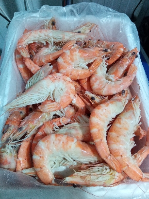 LANGOSTINO COCIDO 25/35  4X2KG