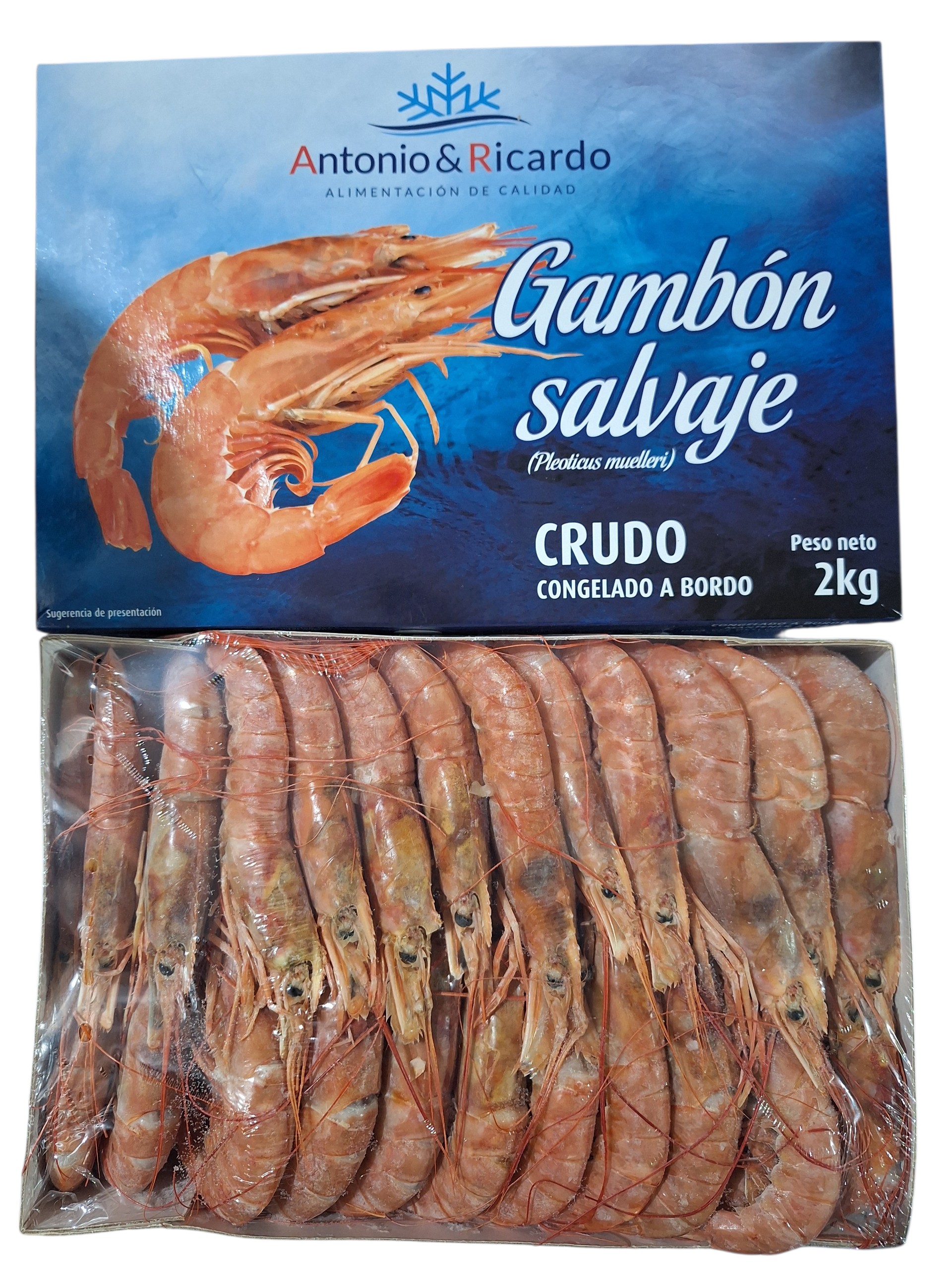 GAMBON N2  AYR 6X2KG