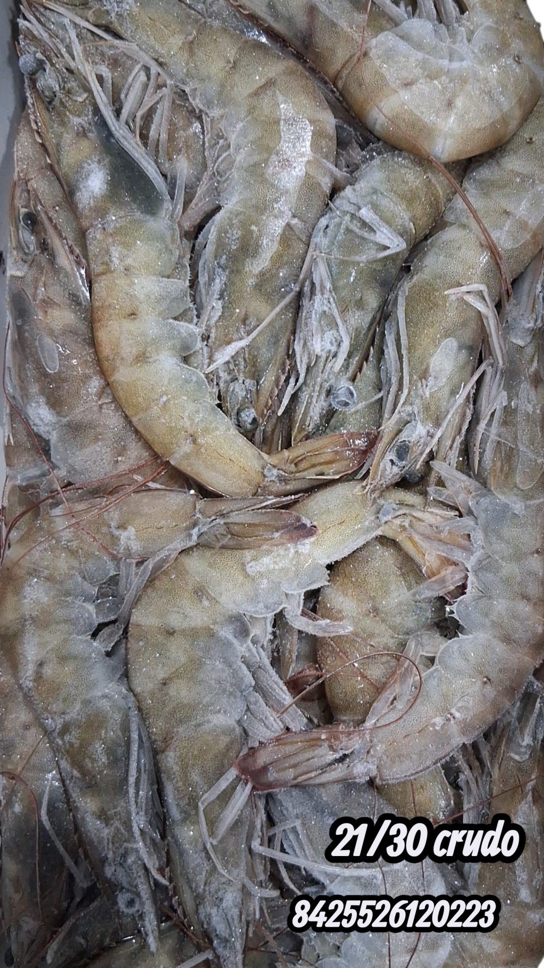LANGOSTINO VANNAMEI 21/30 AYR 10X2KG