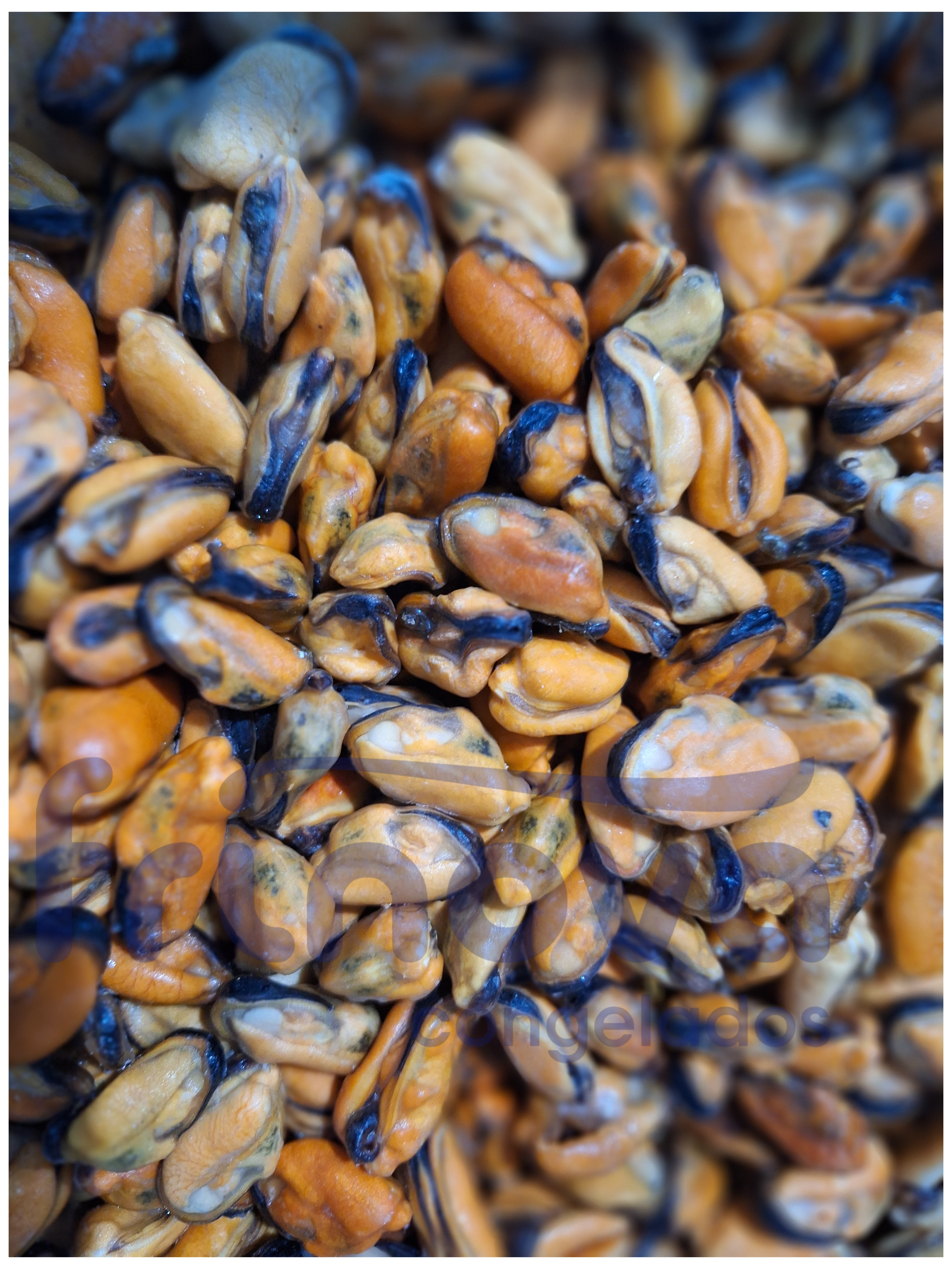 MEJILLON COCIDO P AYR 10KG