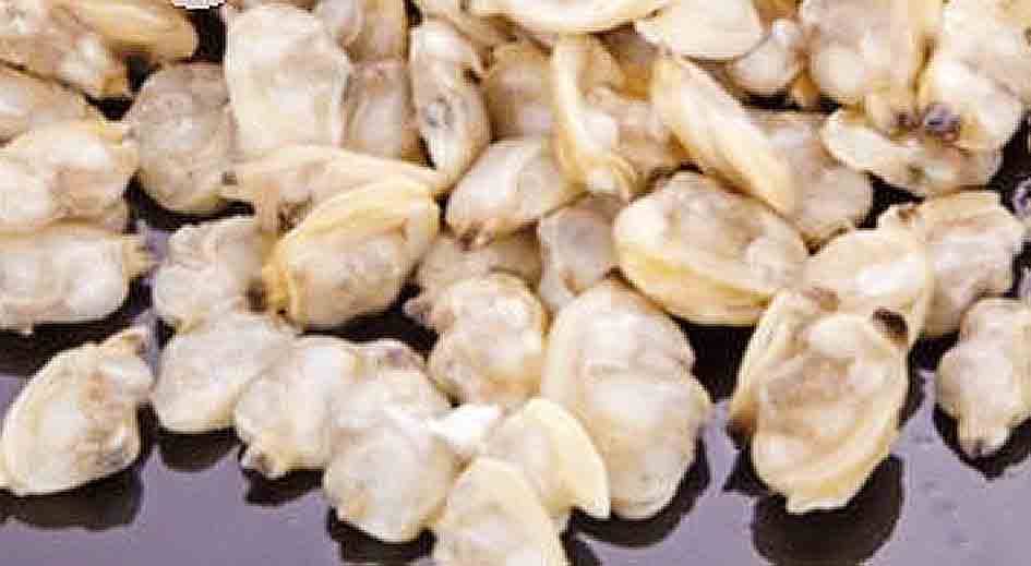 CARNE ALMEJA ALIGATOR +1000 6X1 KG