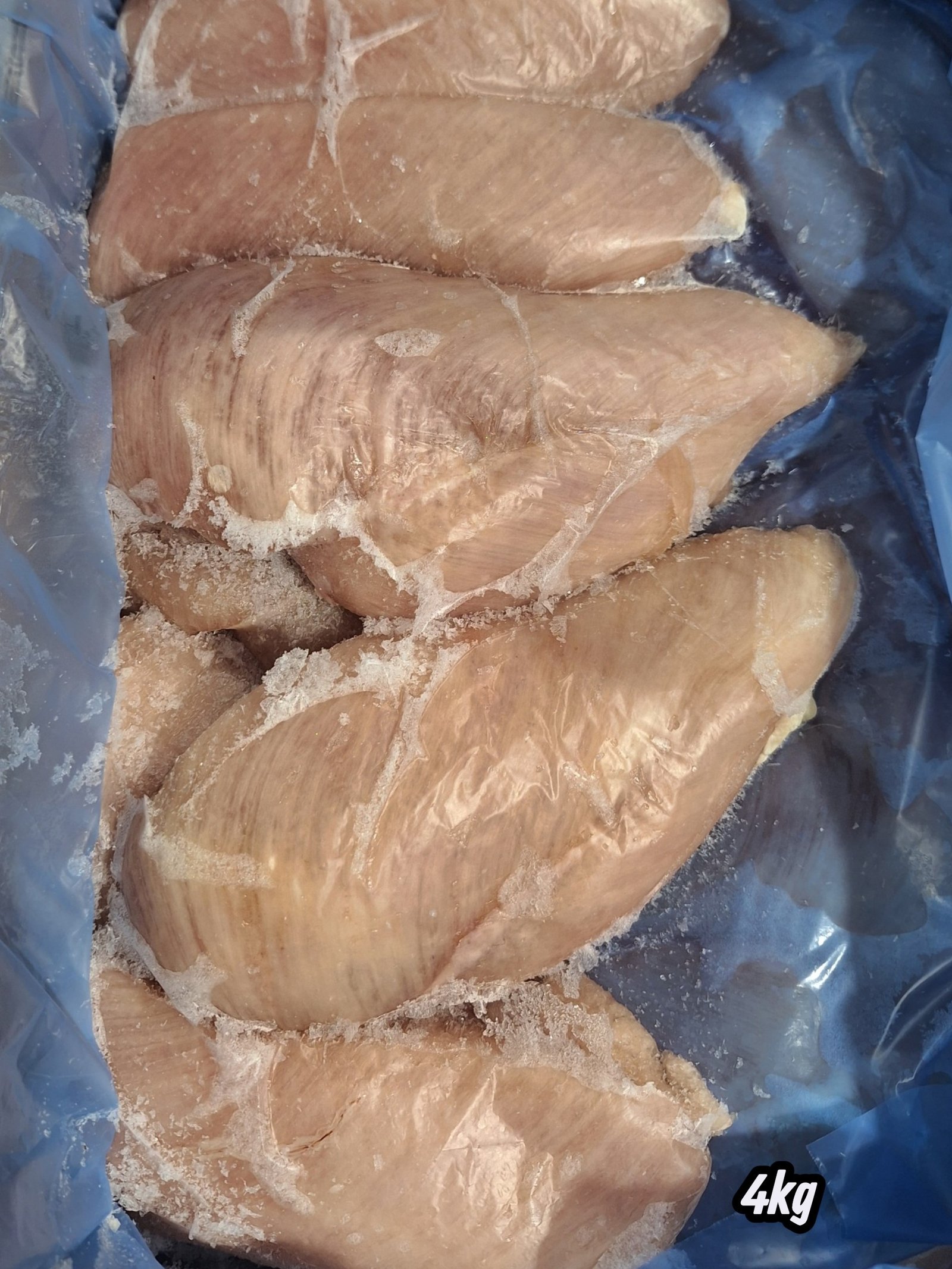 PECHUGA POLLO PAYAN INTER. 4KG