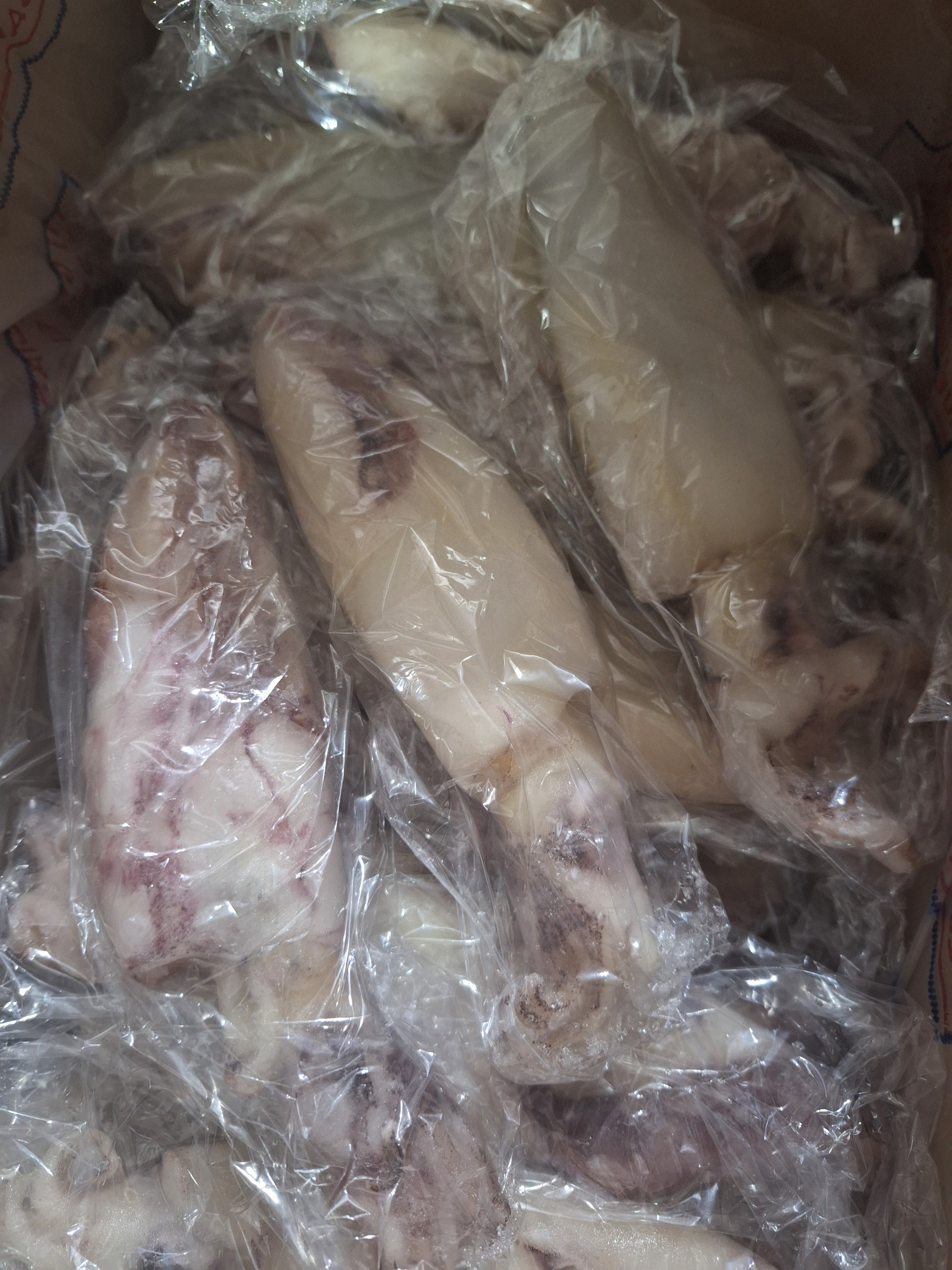 CALAMAR MAUR. "MAHESO" 3P IQF 5KG