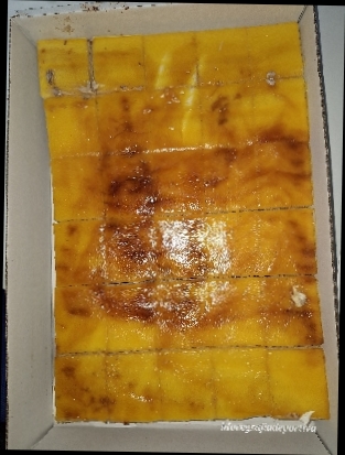 PLANCHA PRECORTADA SAN MARCOS CASTY