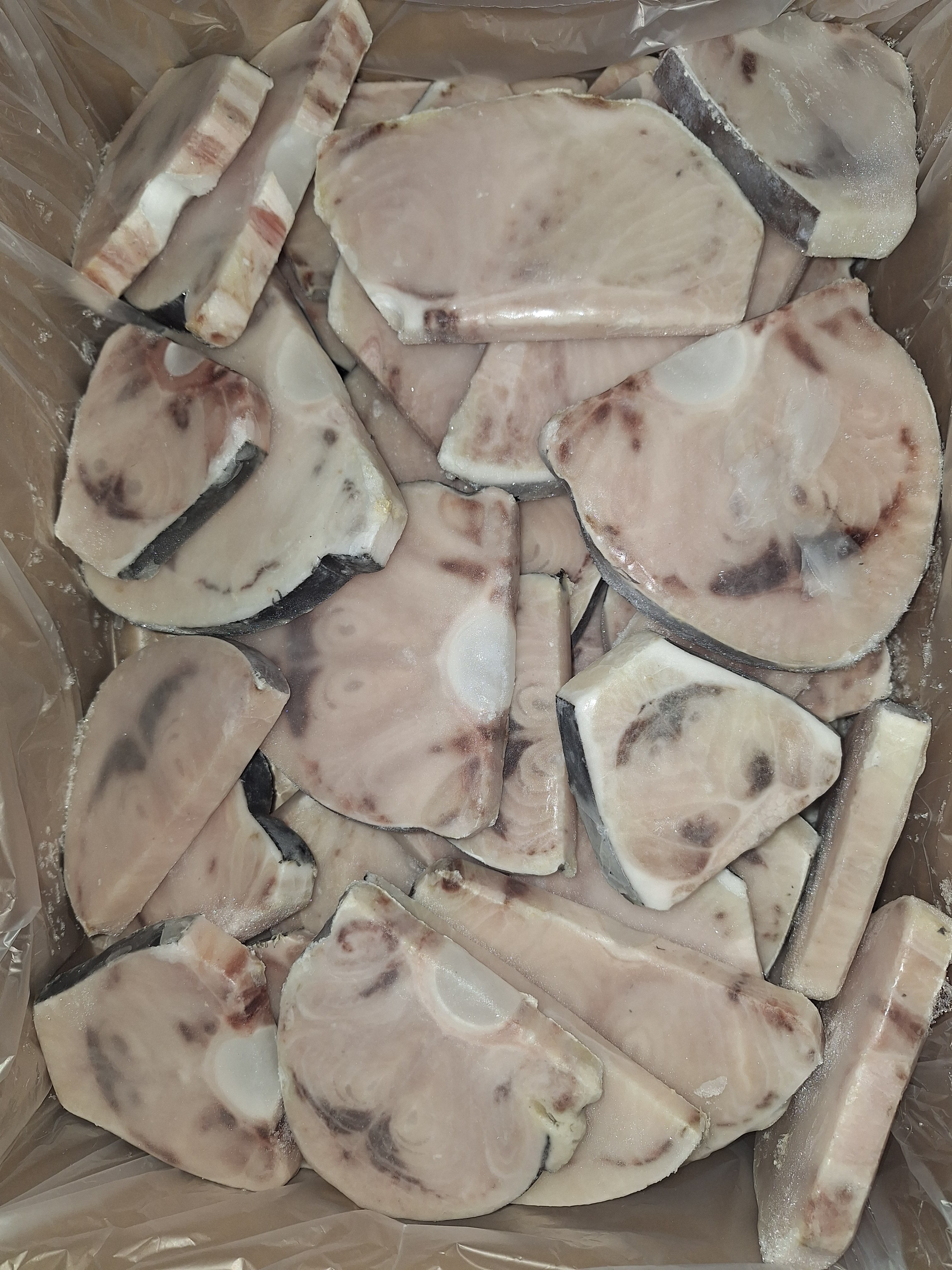 FTE. PEZ ESPADA N2 "B" SELPROMAR 6KG