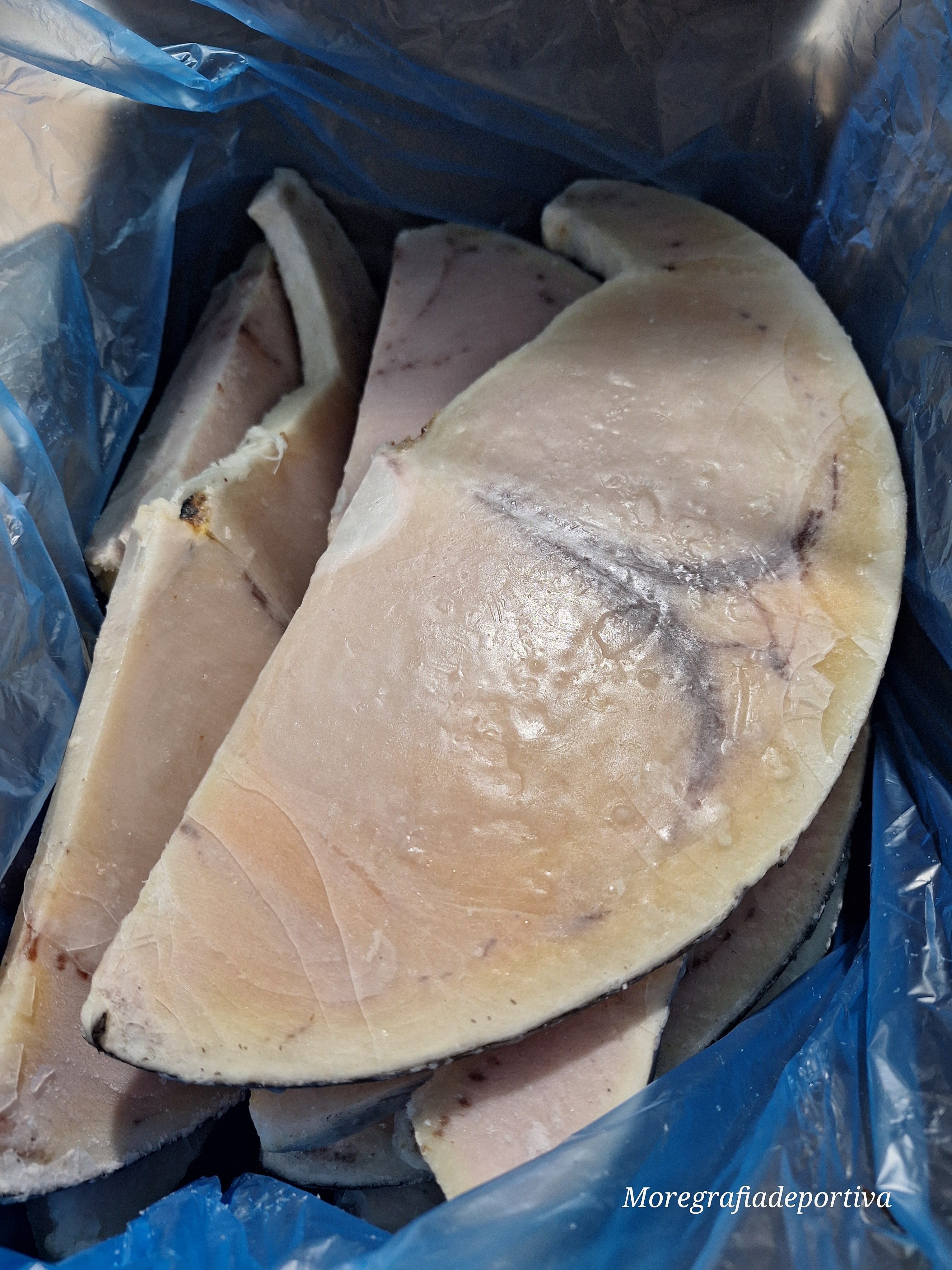 FTE. PEZ ESPADA  EXTRA FRINOVA 7KG