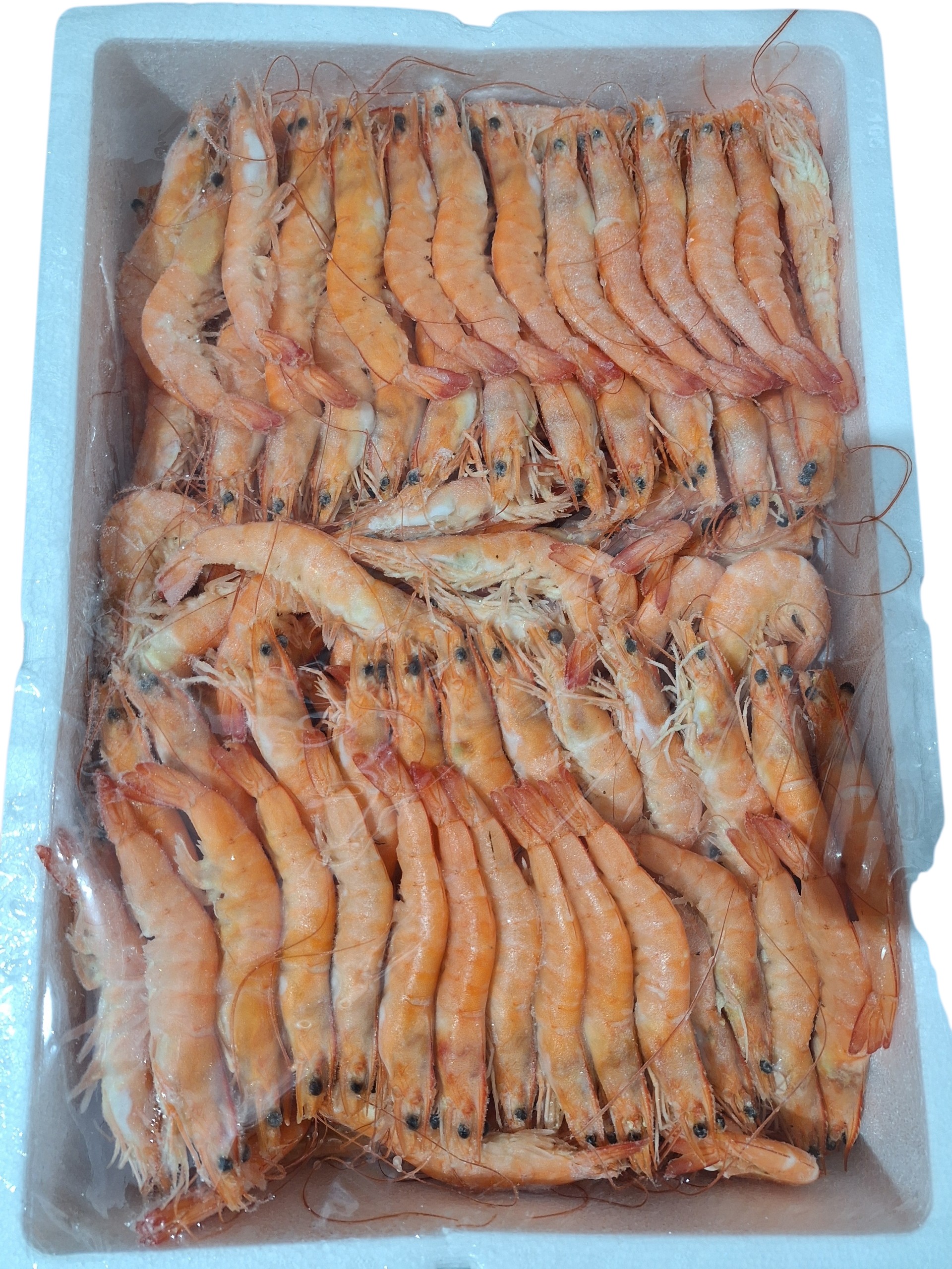 LANG.COC.CASTELLAR 4XX-4KG FRINO