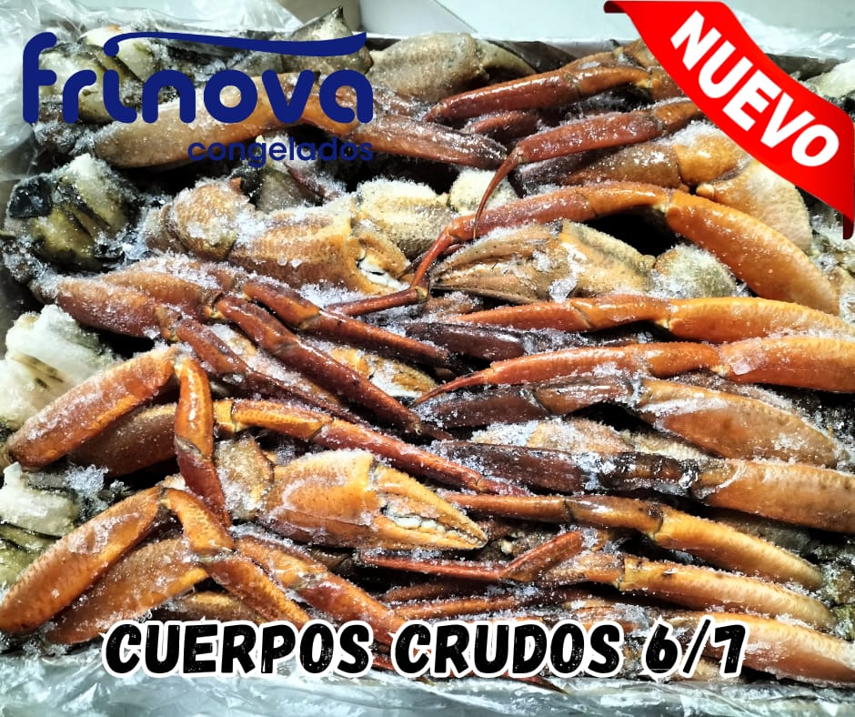 CUERPOS MAURITANIA "M" 17KG APROX