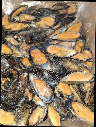 MEJILLON M/C SELECCION "FRINOVA" 3KG