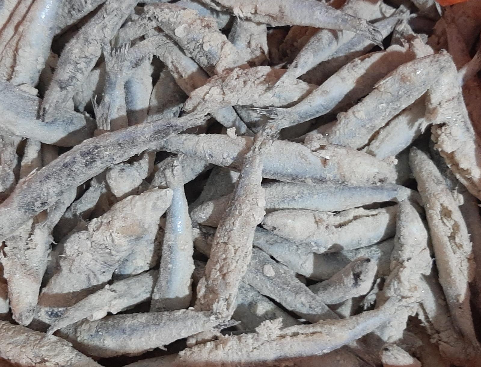 BOQUERON ENTERO HARINADO SB 2KG